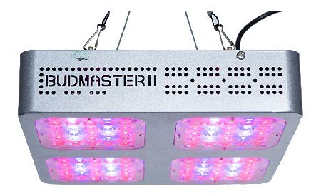 Budmaster_II_300_GOD.jpg.94b6588e54cce3100ca3339fef36ca97.jpg