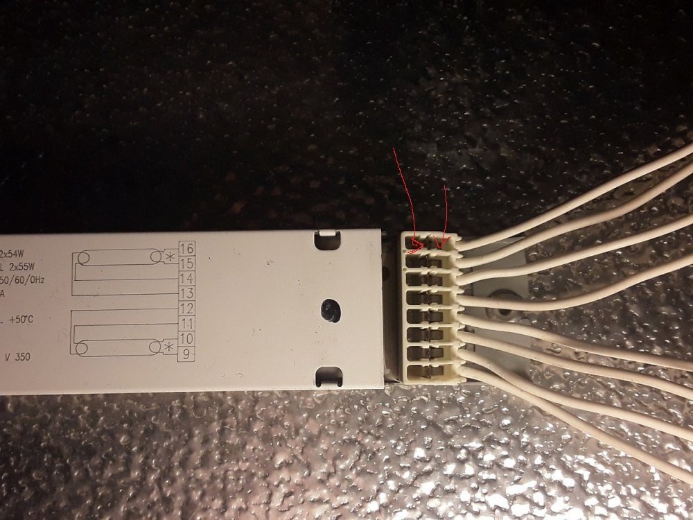 PL-L.thumb.jpg.efa5477e73b604f543e7415eb30a2391.jpg.4131c8600b0f977058e003840b8815fe.jpg