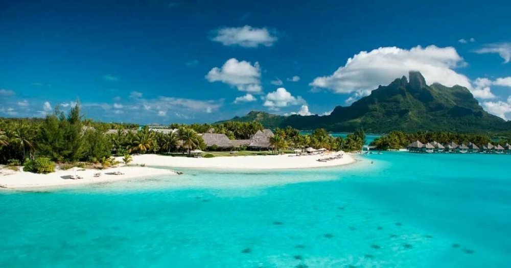 polynesie-loi-cannabis-1024x538.thumb.jpg.d2248621692abf1828d0bb31af350056.jpg