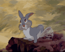 thumper-bambi.gif.d5a4f4afd65e697be46b07e76f7a823e.gif