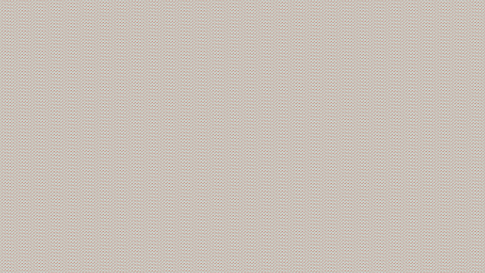 photo plante 6.png