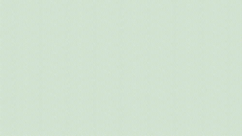 photo plante 7.png