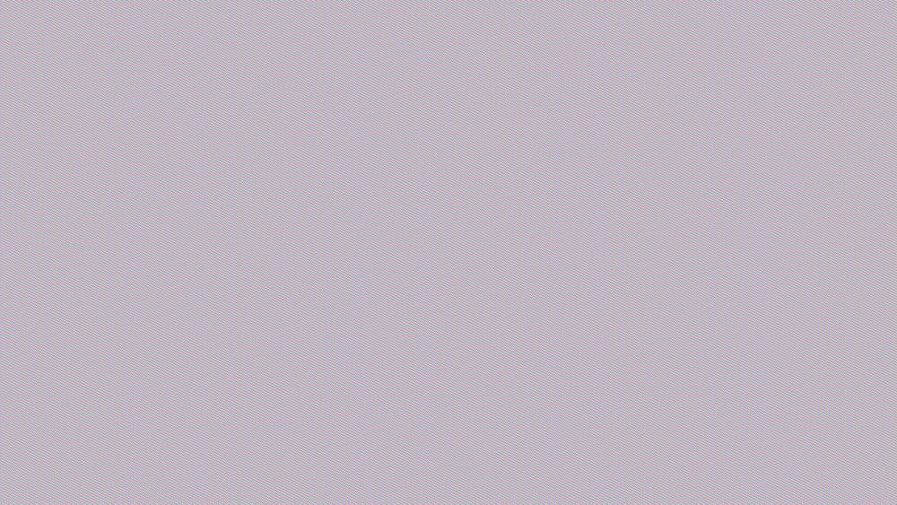 photo plante 4.png