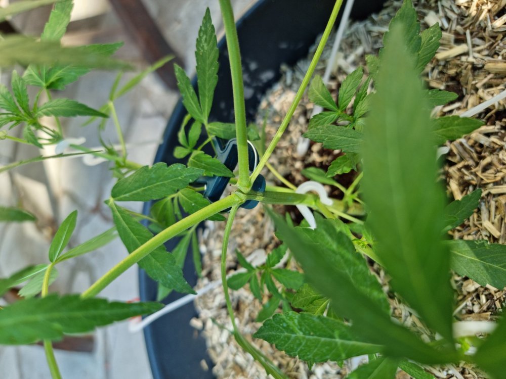 20230624_184220.jpg