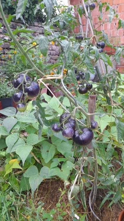 20230728_192300.jpg