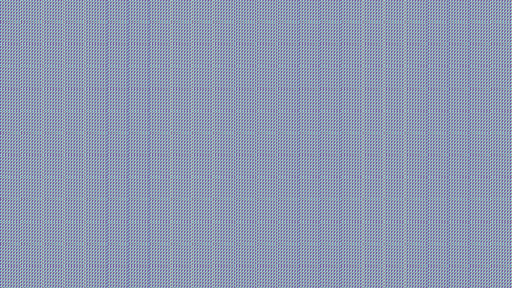 photo plante 1.png