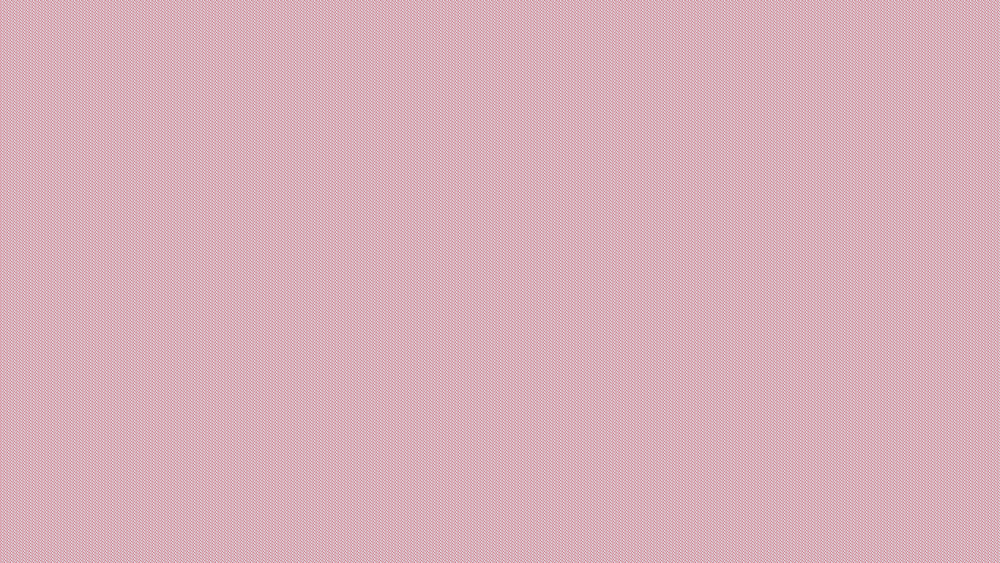 photo plante 2.png