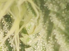 20230723_224703.jpg