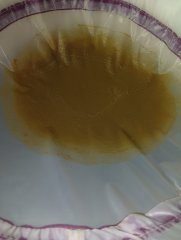 Bubble cheesy auto 120-25u