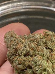 IMG_0452.jpeg