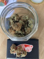 IMG_0590.jpeg