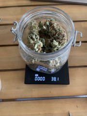 IMG_1881.jpeg