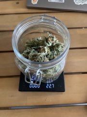 IMG_1882.jpeg
