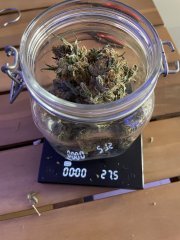 IMG_1888.jpeg