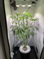 IMG_2007.jpeg