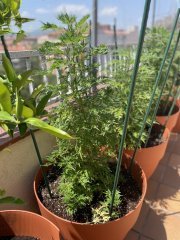 IMG_2023.jpeg