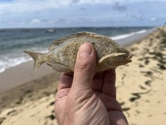 IMG_5698.jpeg