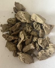 IMG_5745.jpeg