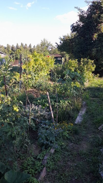 20230801_182655.jpg