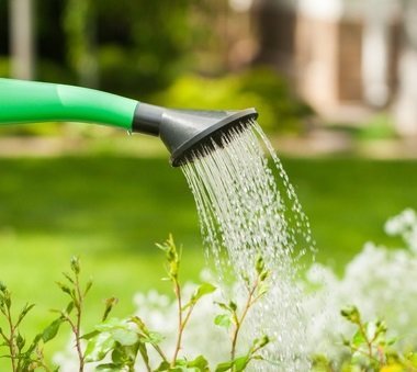 Bien-arroser-son-jardin.jpg.9c0e5eb581f22e8c557c4c3abbc9aa89.jpg