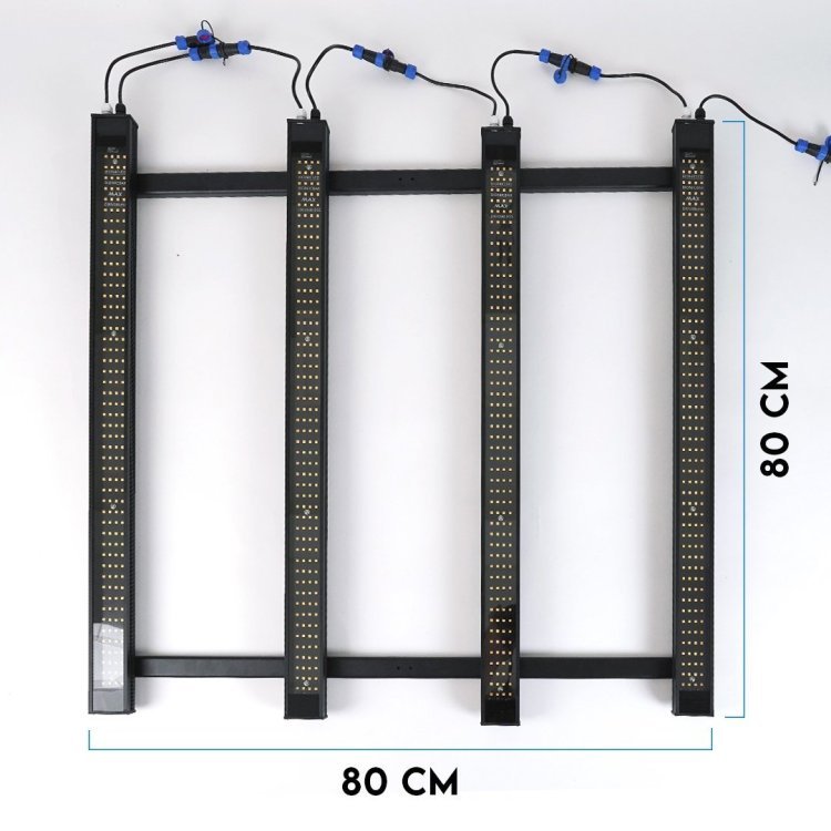 Bionicbar_max_13.jpg
