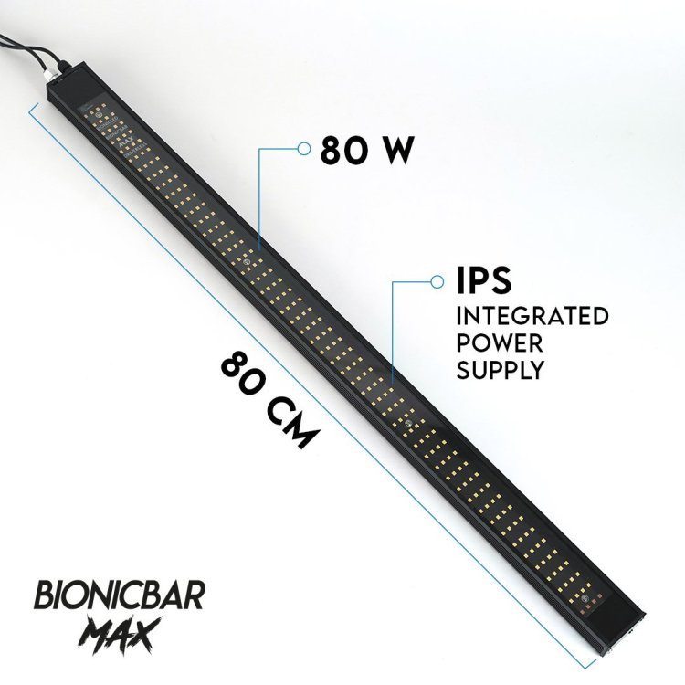 Bionicbar_maxb.jpg