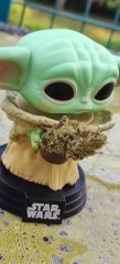 Baby Yoda Wappa.jpg