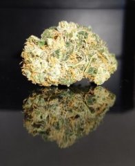 Tete bud Wappa 05 07.jpg