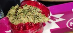 Blunt 1.jpg