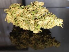 Blunt 2.jpg