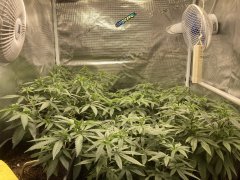 IMG_0652.jpeg