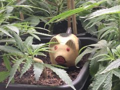 IMG_0695.jpeg
