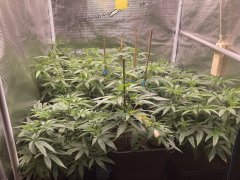 IMG_0699.jpeg