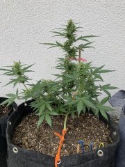 IMG_0715.jpeg