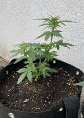 IMG_0716.jpeg