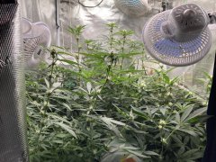IMG_0776.jpeg