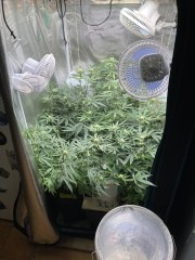 IMG_0785.jpeg