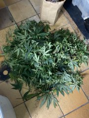 IMG_0813.jpeg