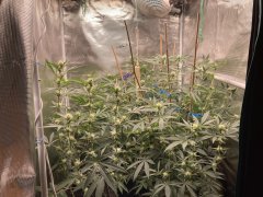 IMG_0835.jpeg