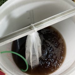IMG_0844.jpeg