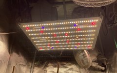 IMG_0908.jpeg