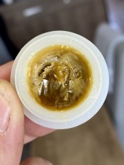 richto strain