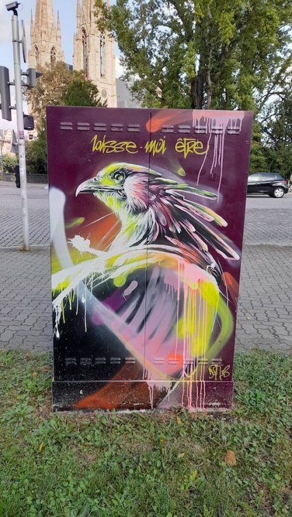 20230919_111754.jpg