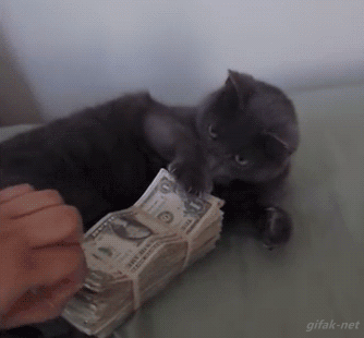 chat-radin.gif.1d4d2c0461bc48afd3970705be106e6f.gif