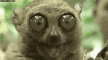 me-early-in-the-morning-lol.gif.73d680862cfd09dcee674a883fab12b6.gif