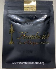 IMG_0911.jpeg