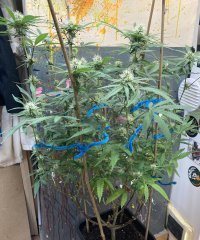 IMG_0986.jpeg