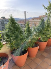 IMG_2579.jpeg