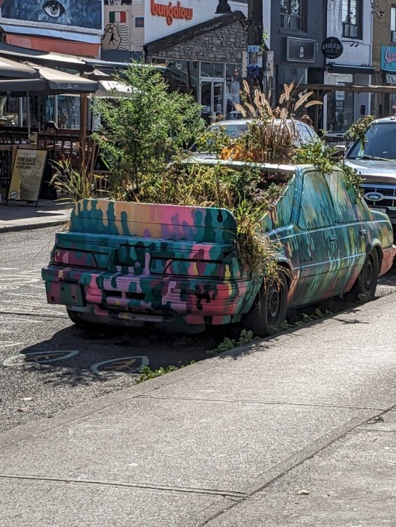 .trashed-1699197669-PXL_20231006_152055709.thumb.jpg.f080c1b4c3b23149d72df616ff2b84a4.jpg