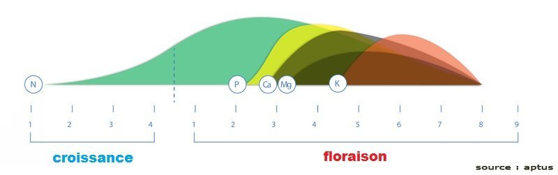 1152974379_APTUS-Schemaassimilation.jpg.840f507c3d1fef7a87333a64729fb9e3.jpg